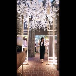 Meet your Posher, Merlyn